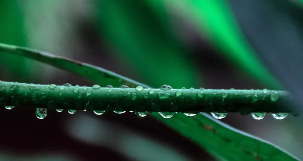 Waterproof, resistant or repellent?